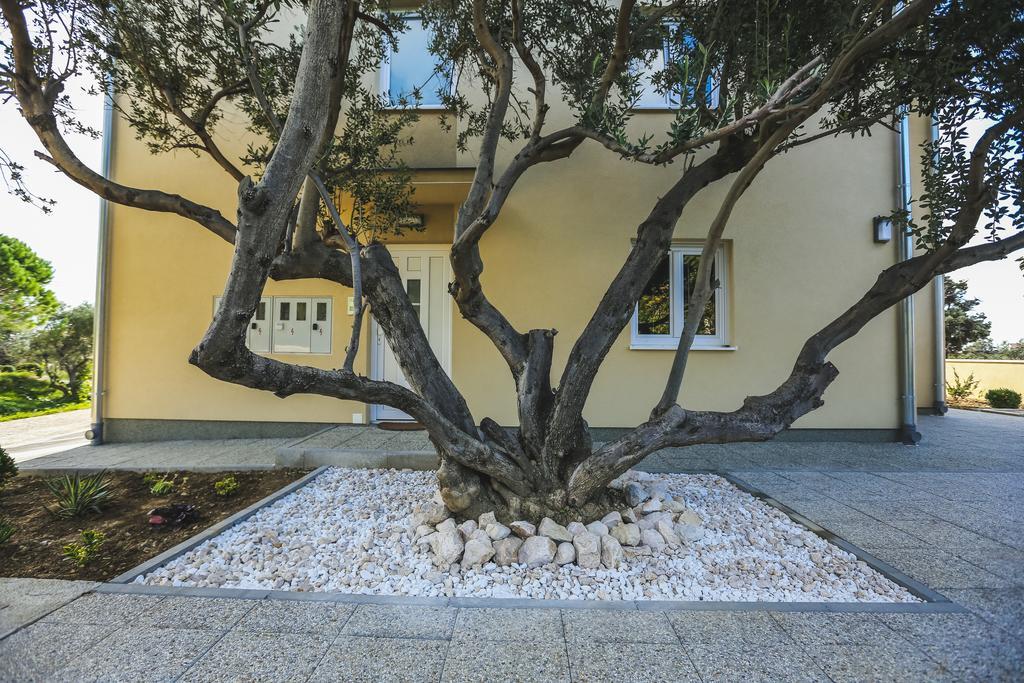 Sesar Appartement Banjol