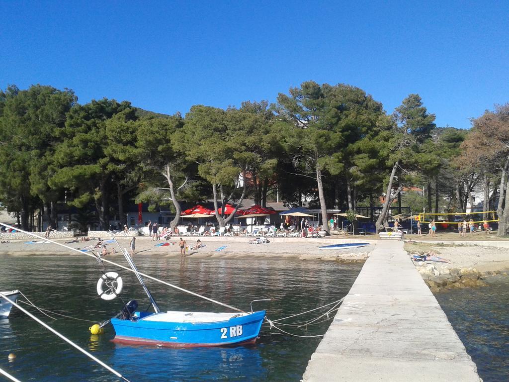 Sesar